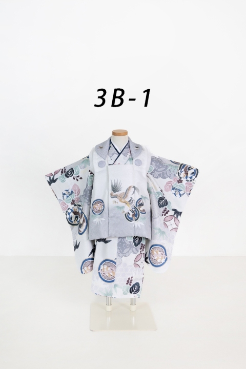 3B-1