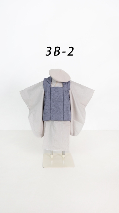 3B-2-2