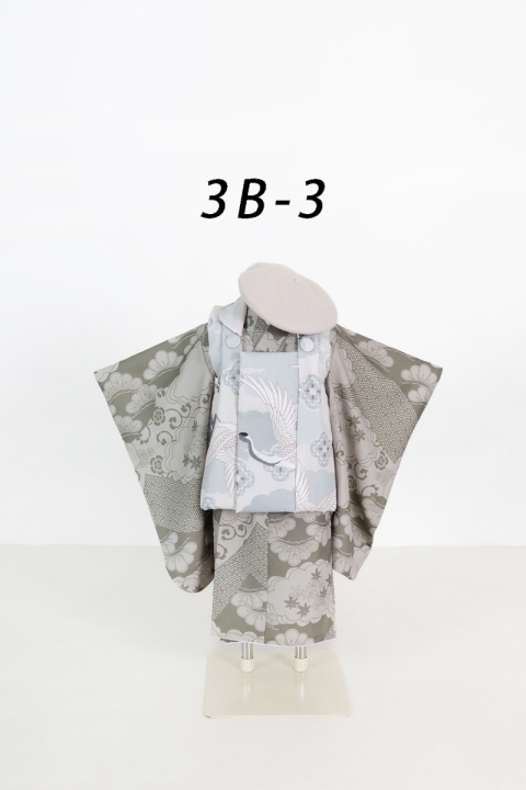 3B-3-2