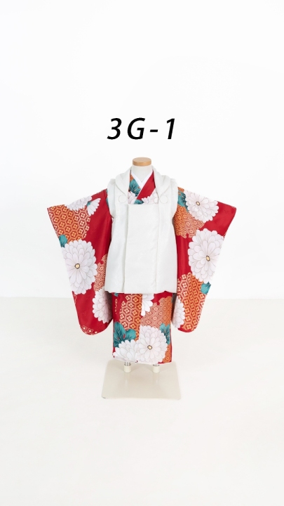3G-1