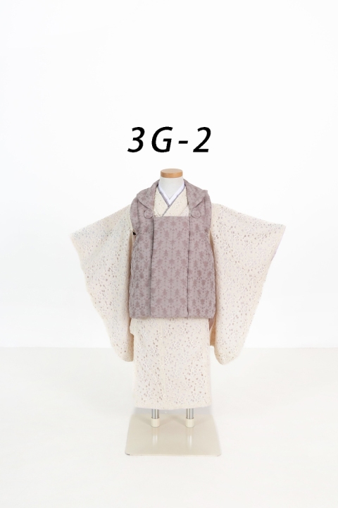 3G-2