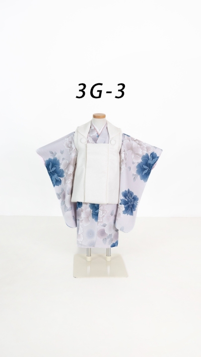 3G-3