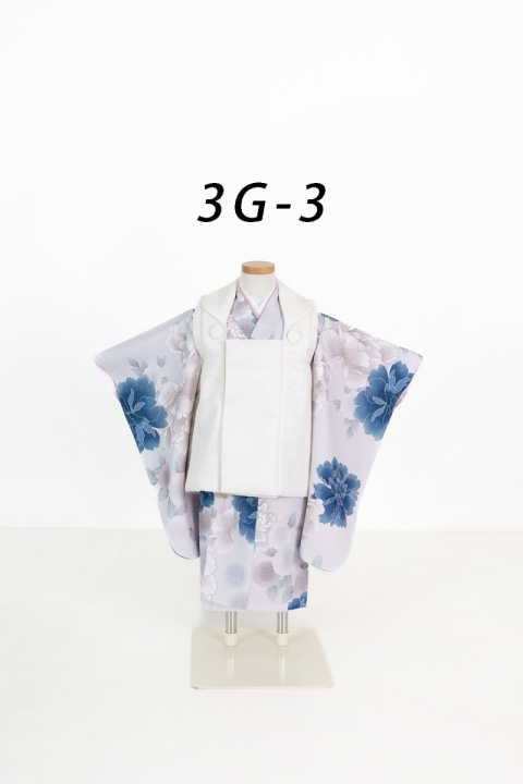 3G-3