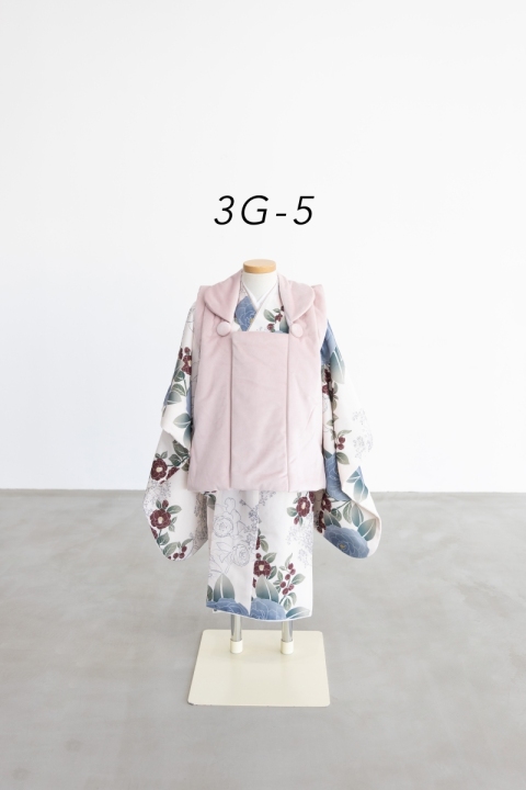 3G-5