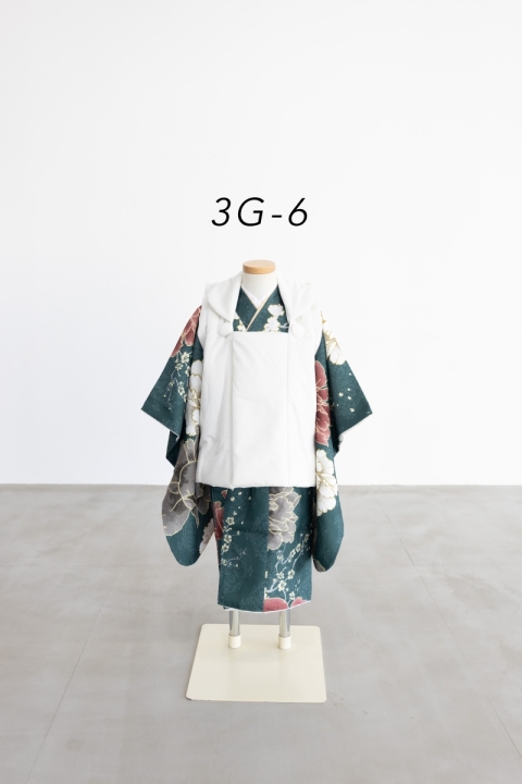 3G-6
