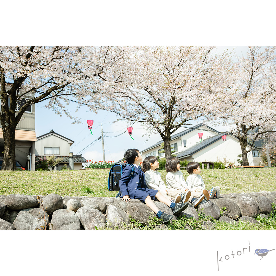 キッズ撮影　桜撮影　富山