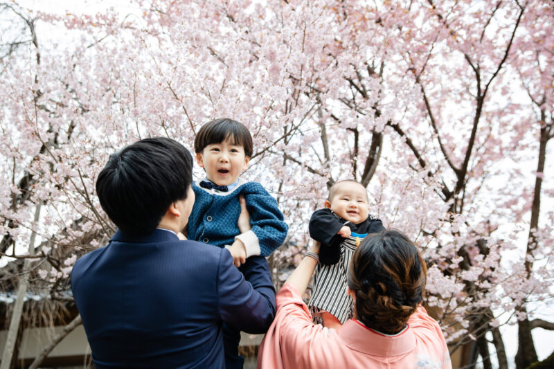 桜にかこまれて🌸(100日撮影)